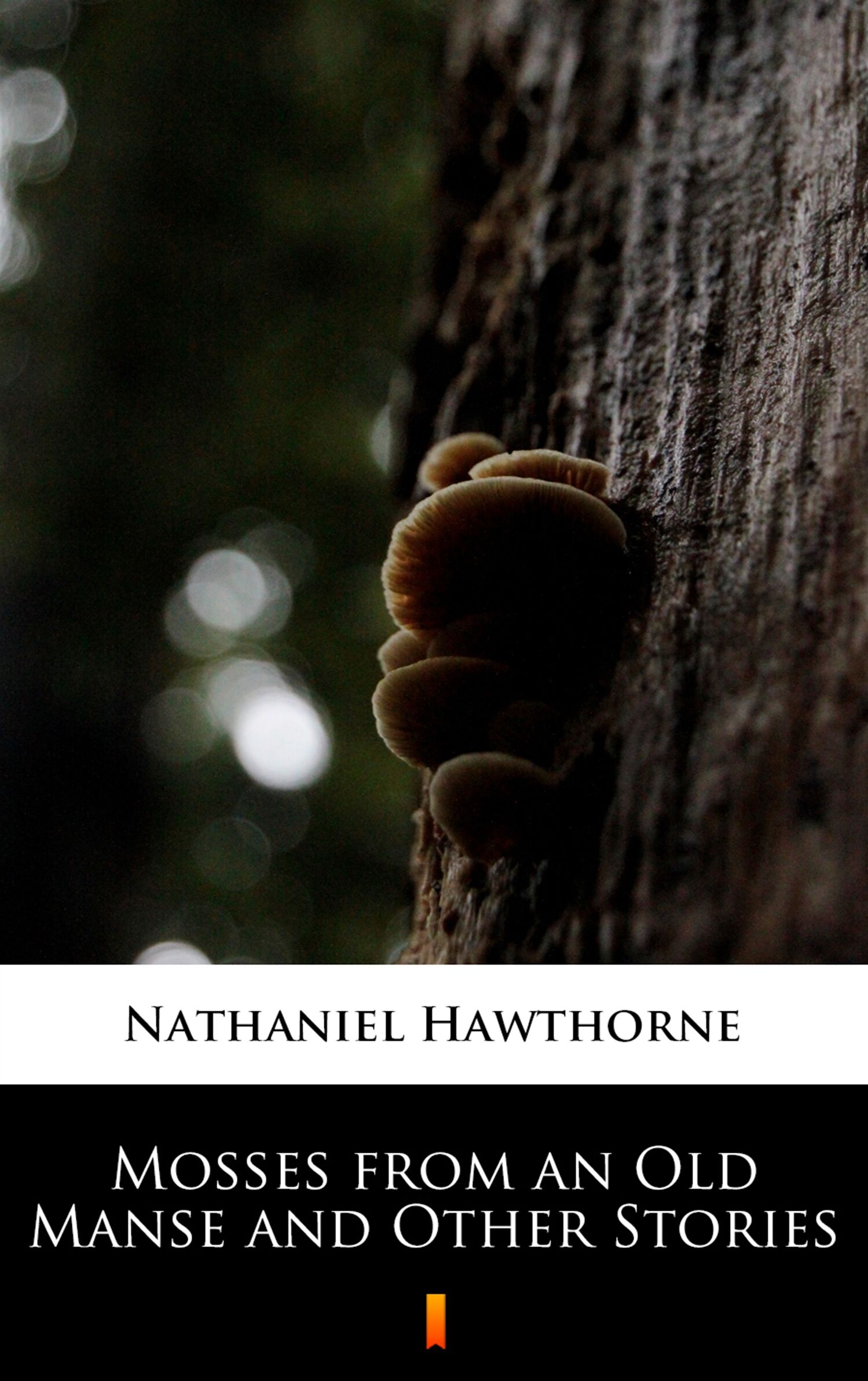 Mosses from an Old Manse and Other Stories (e-book)