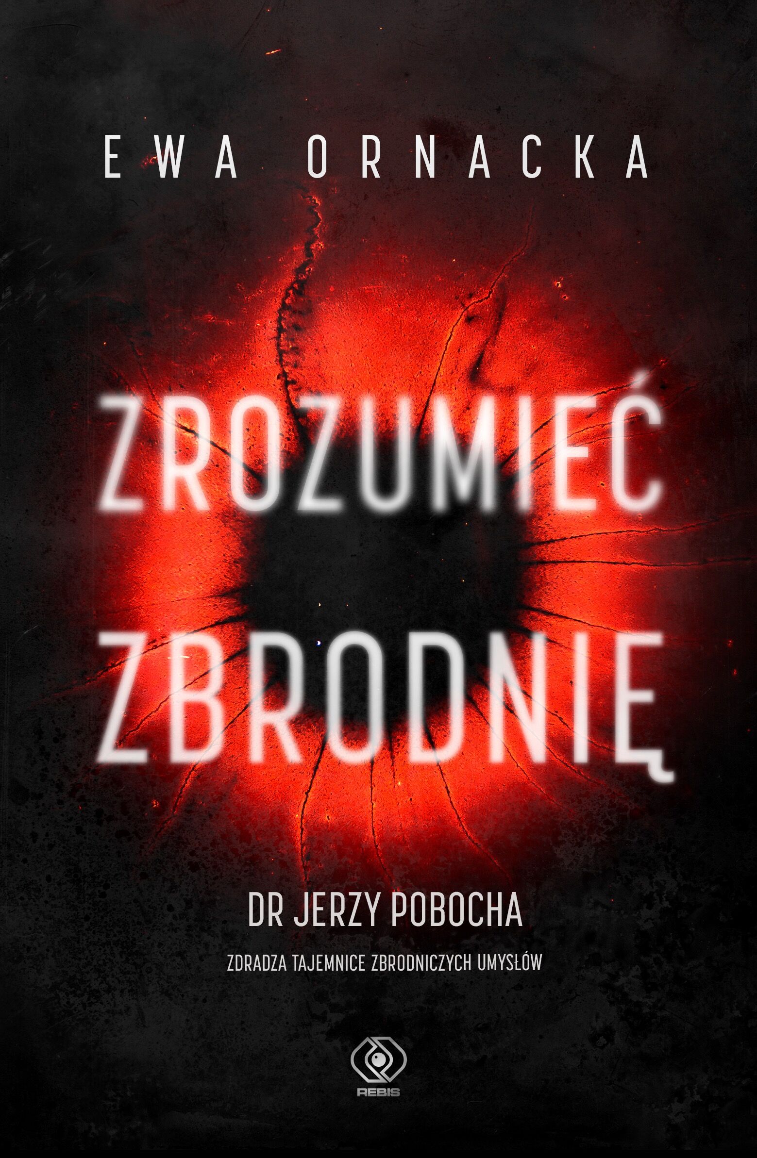 Zrozumieć zbrodnię (e-book)