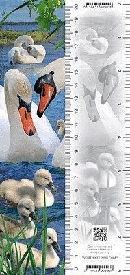 Zakładka 3d łabędź