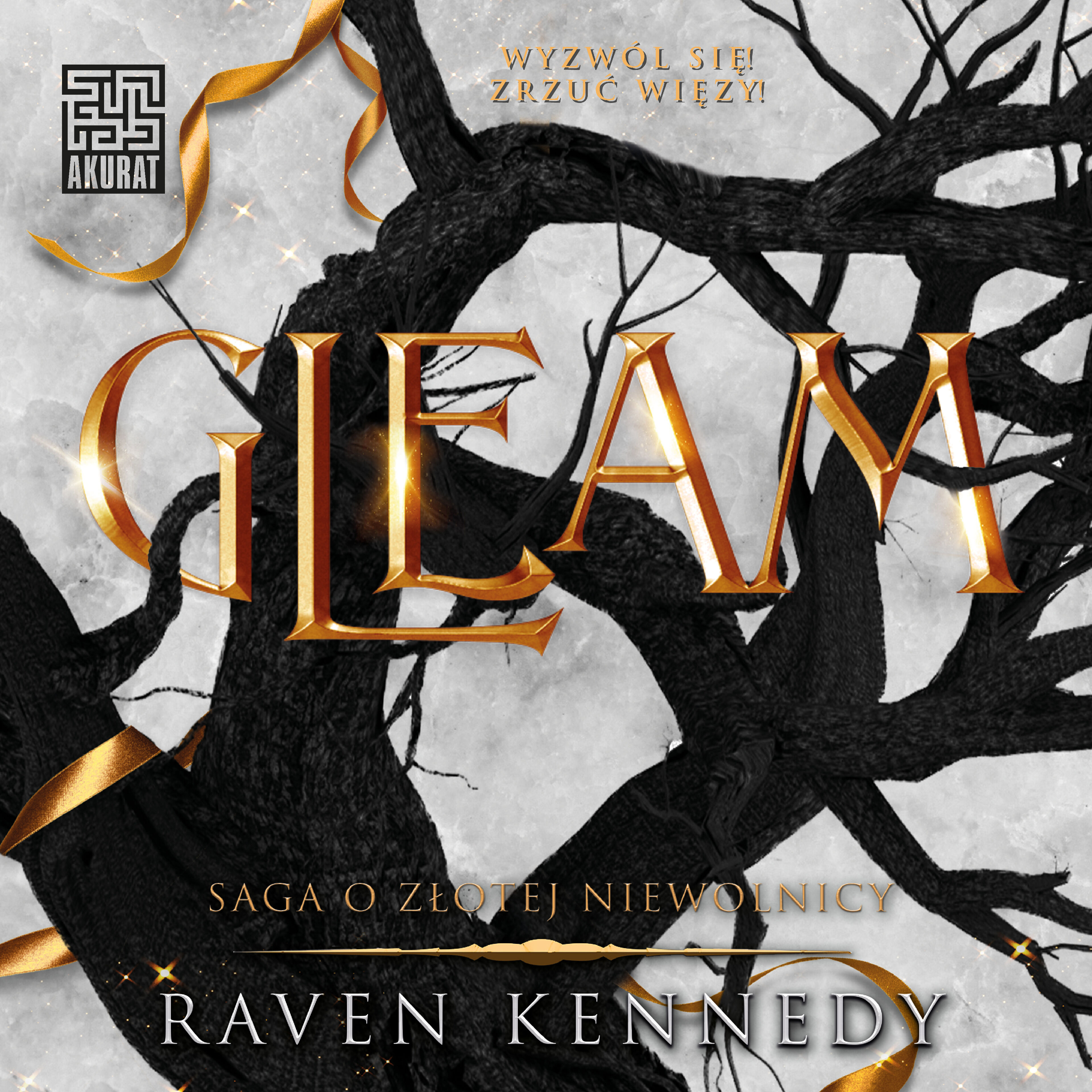 Gleam (audiobook MP3)