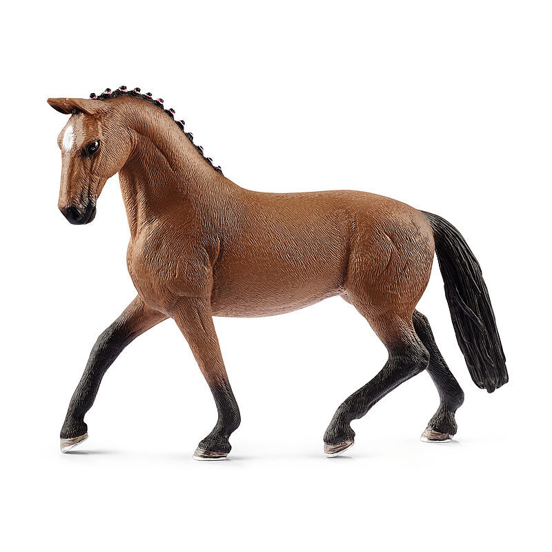 Klacz rasy hanover slh13817