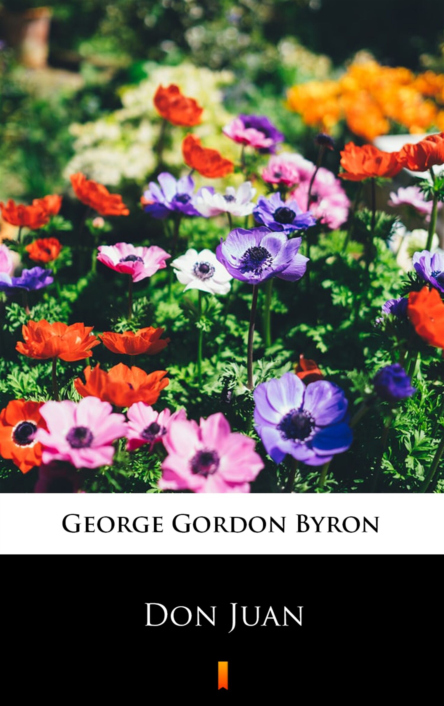 Don Juan (e-book)