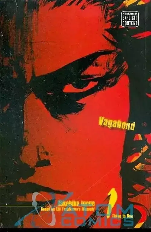 Vagabond 01
