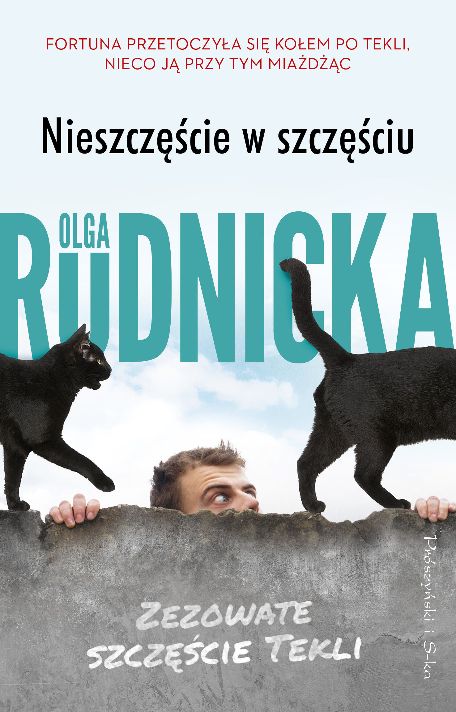 Nieszczęście w szczęściu (e-book)