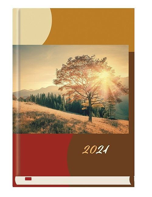 Terminarz 2021 powszechny mip 04