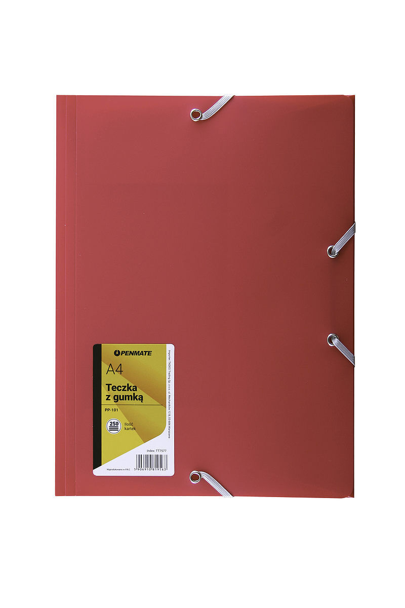 Teczka z gumką a4 pp-101 penmate różowa
