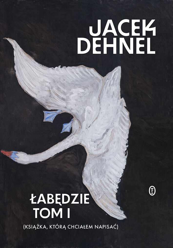 Łabędzie (e-book)