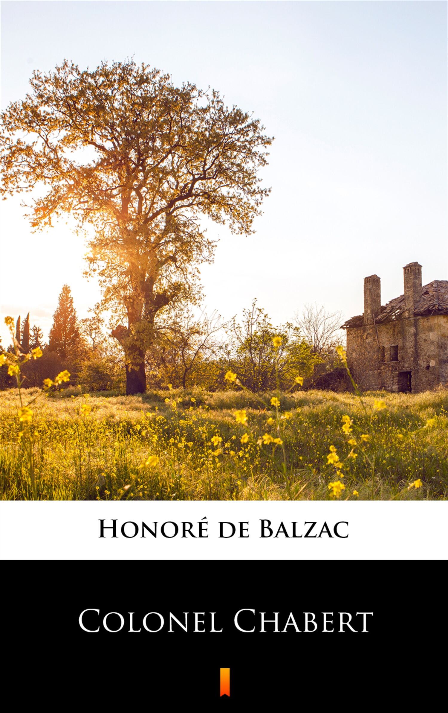 Colonel Chabert (e-book)