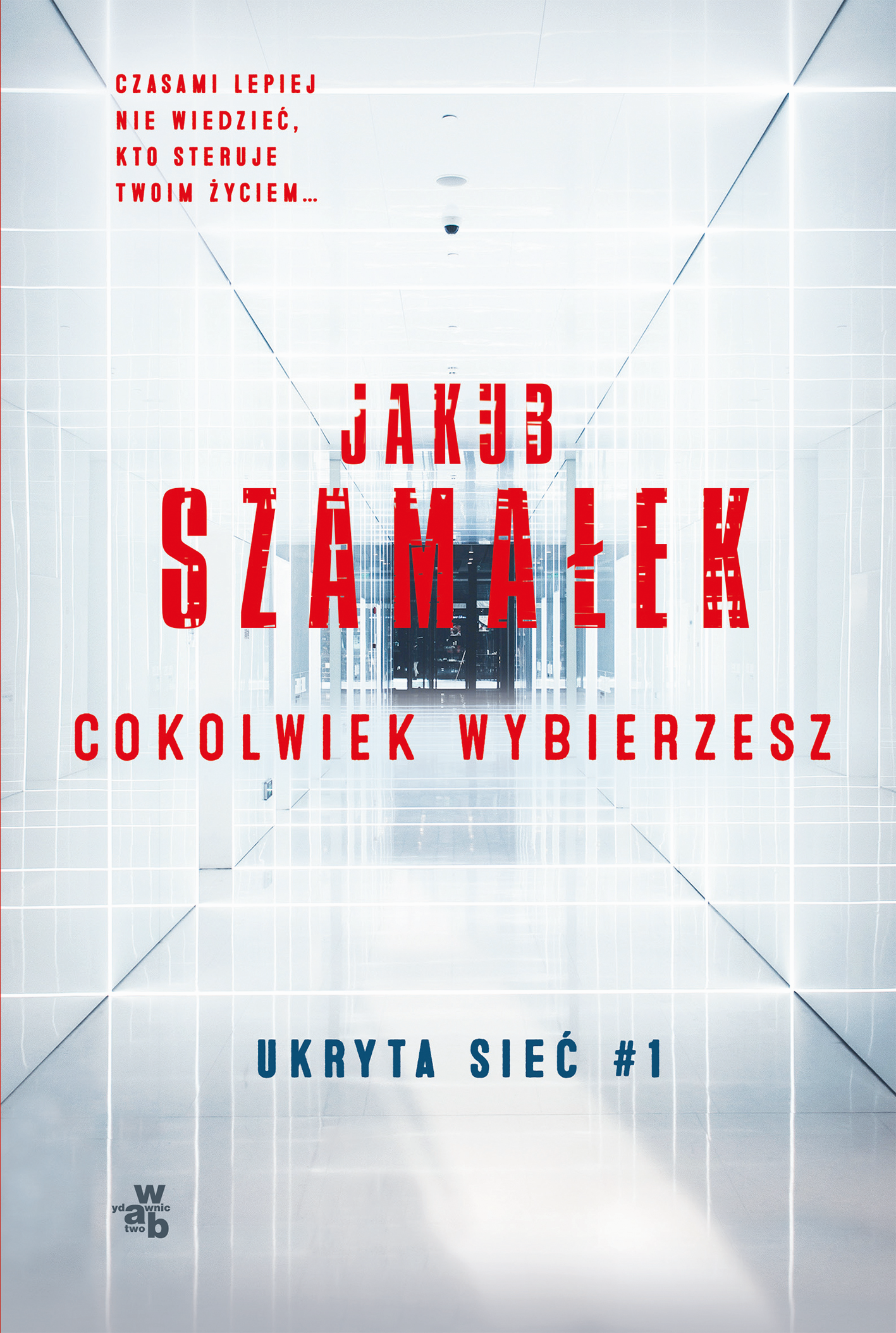 Ukryta sieć. Cokolwiek wybierzesz. Tom 1