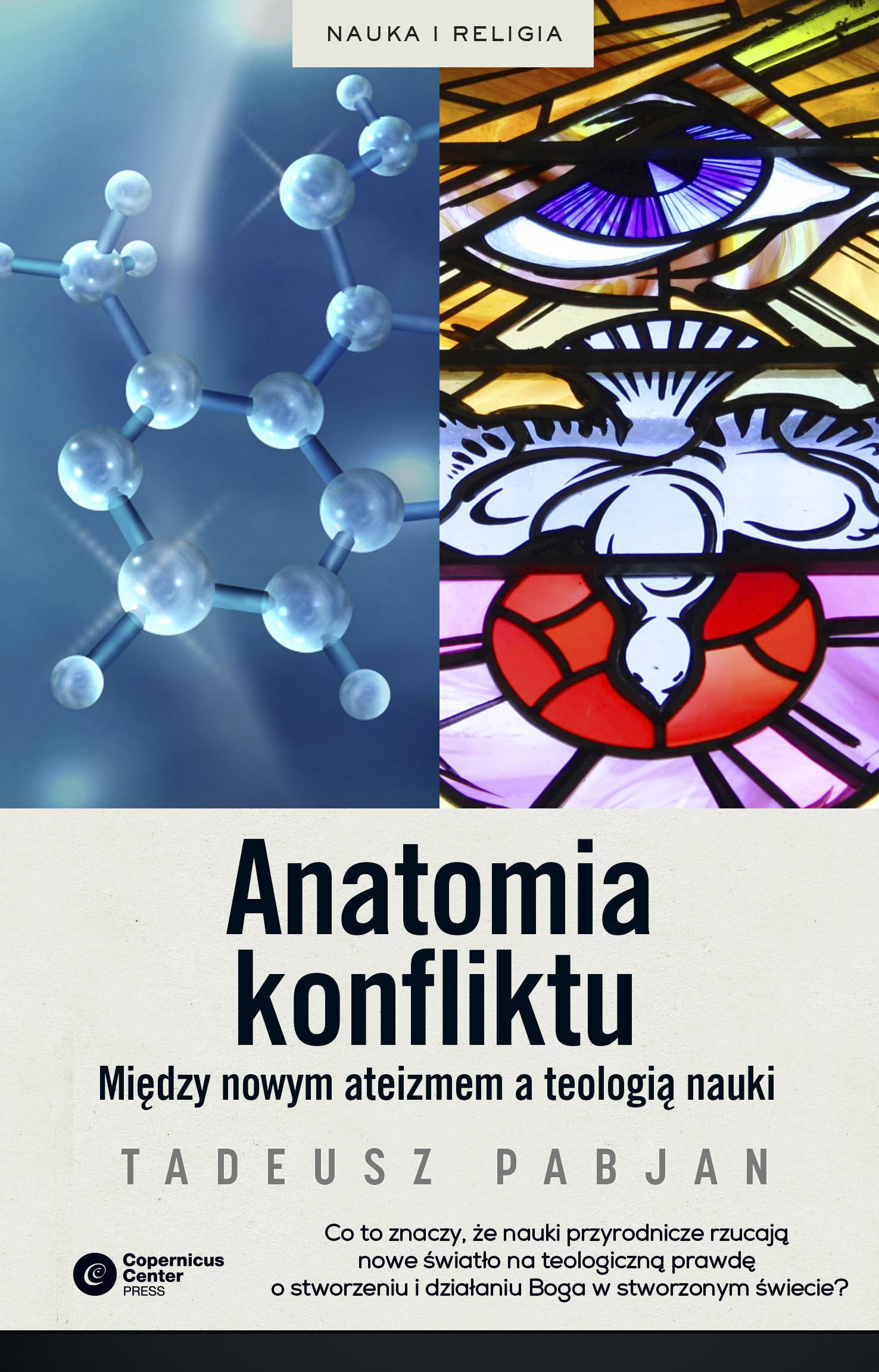 Anatomia konflikty (e-book)
