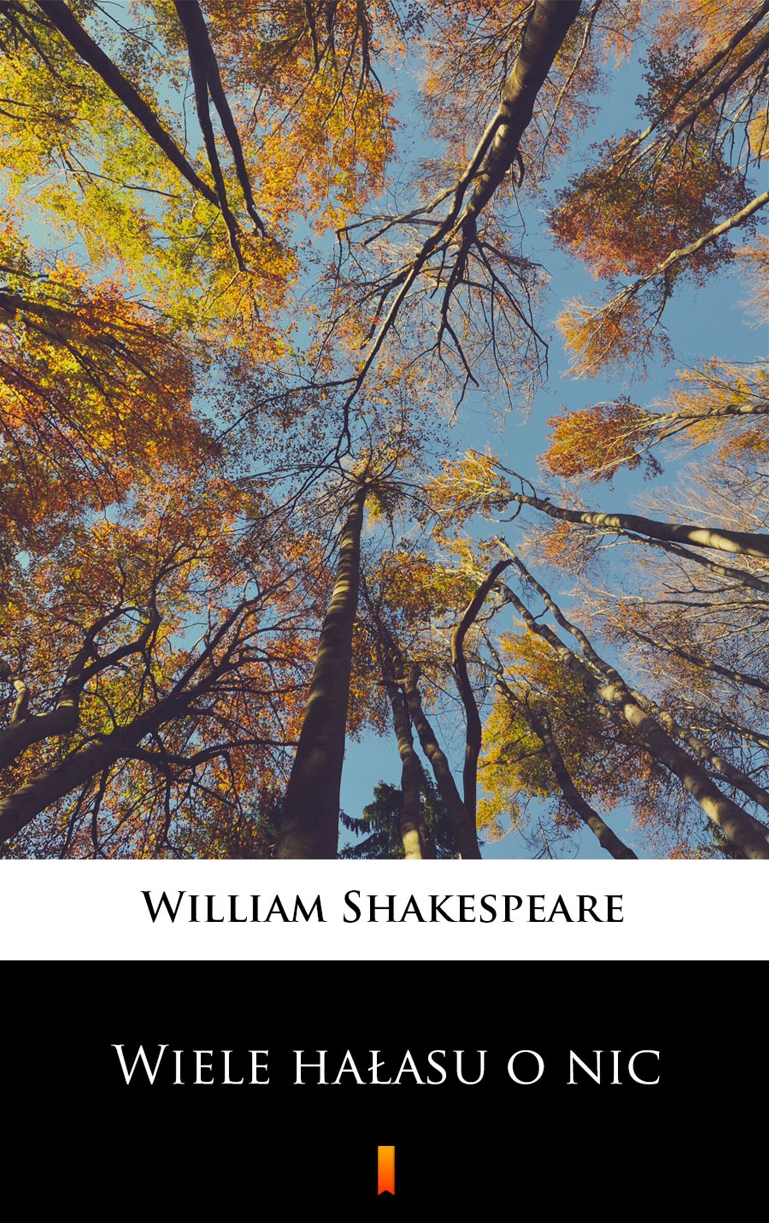 Wiele hałasu o nic (e-book)