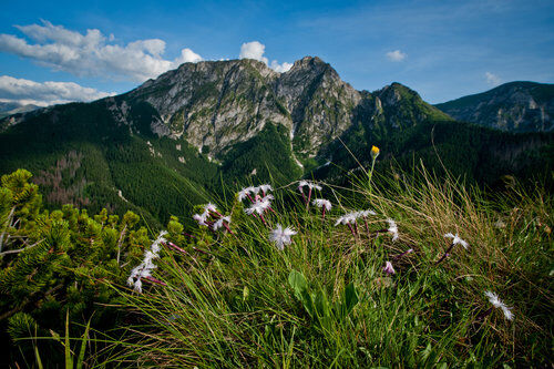 Kartka 3D Tatry, Giewont