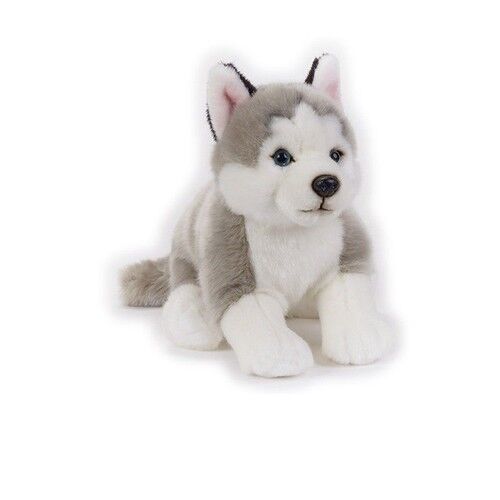 Husky Maskotka