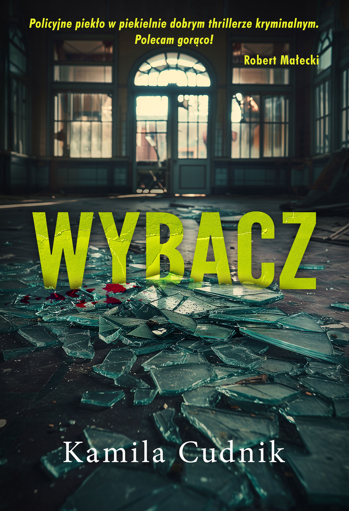 Wybacz (e-book)
