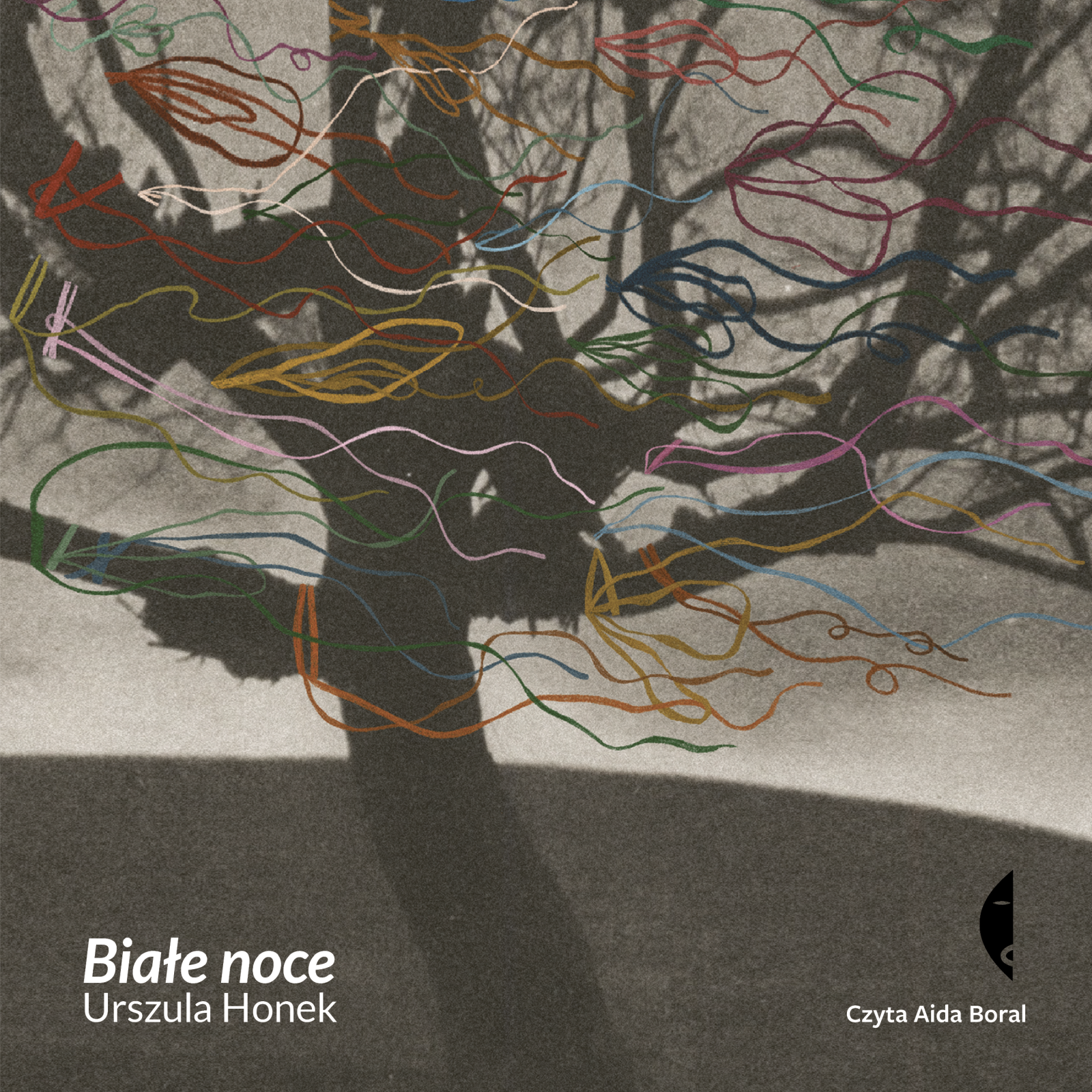 Białe noce (audiobook MP3)