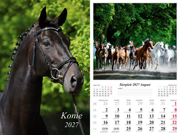 Kalendarz 2027 ścienny 7-k Konie