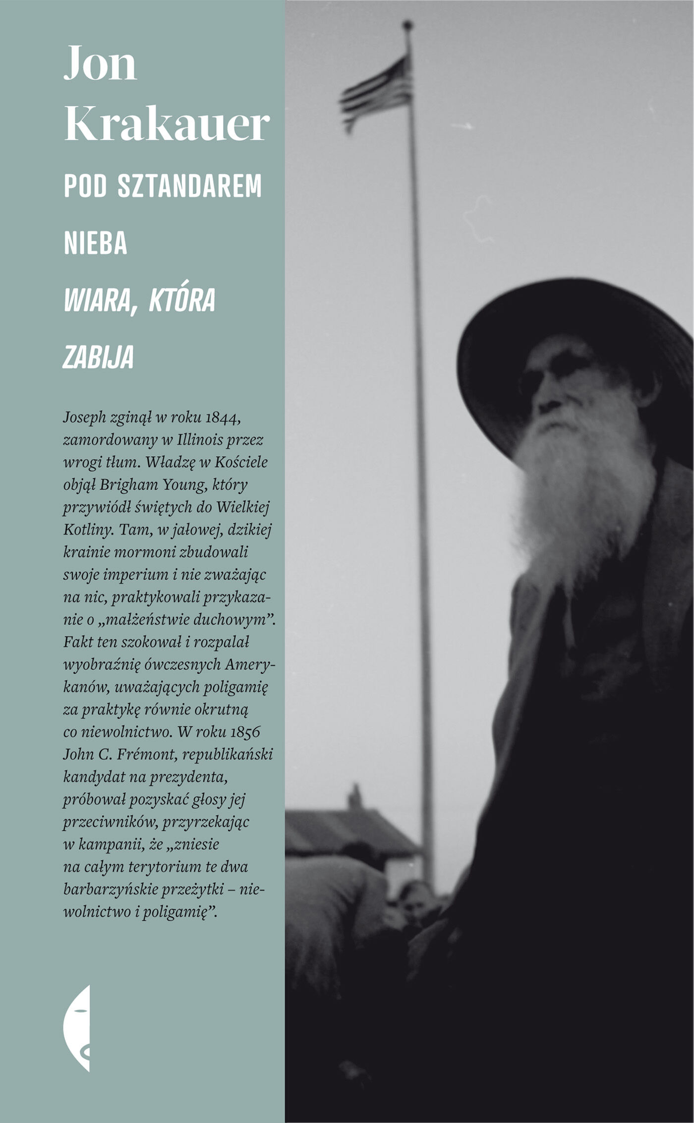 Pod sztandarem nieba (e-book)