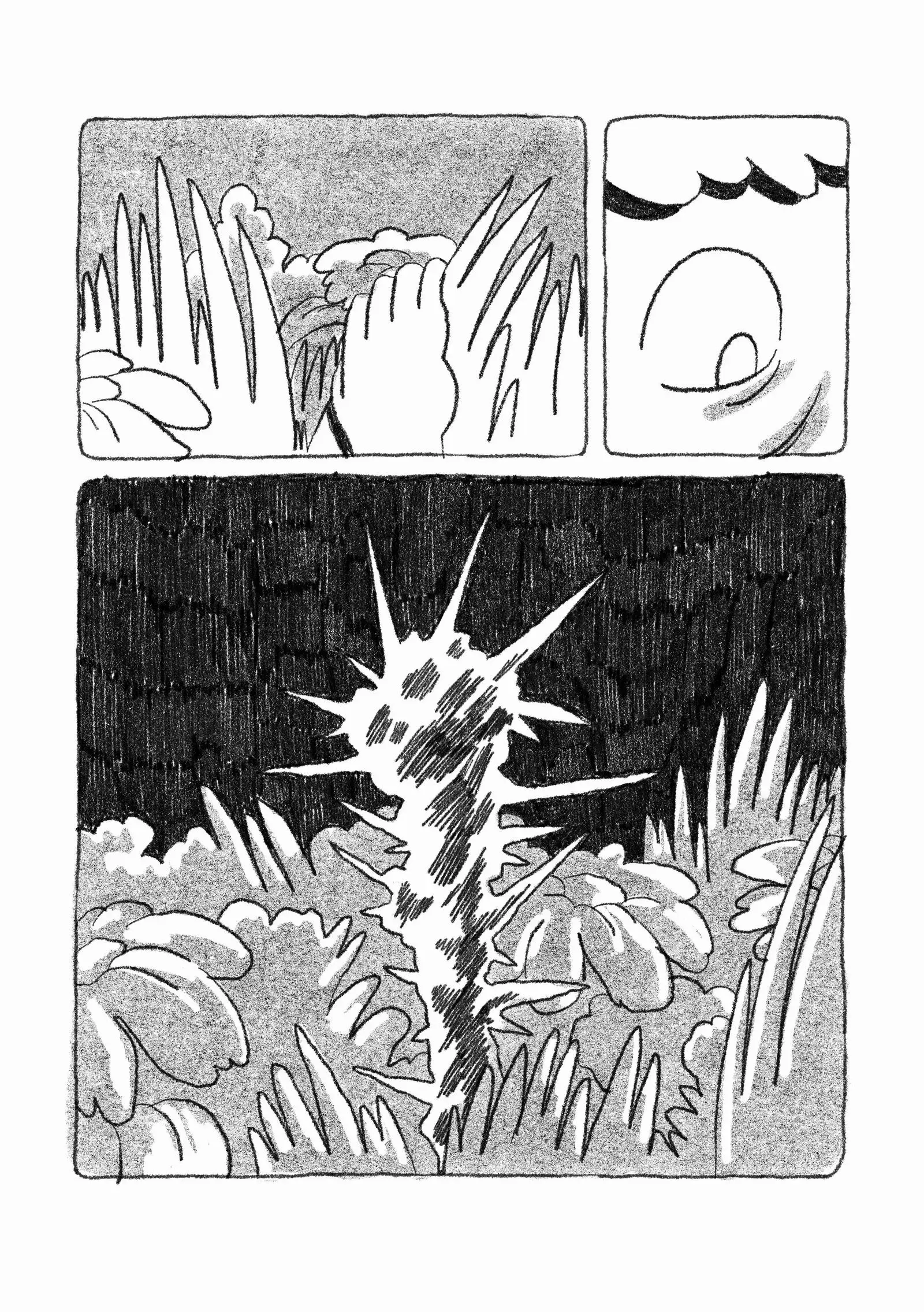 Of Water and Stone