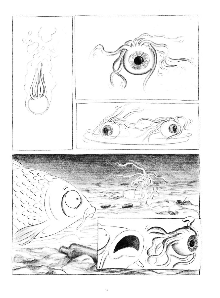 Spleen 