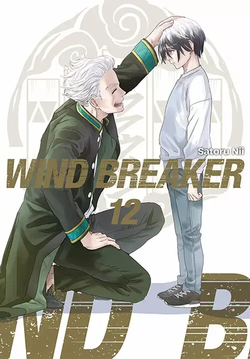 Wind Breaker - 12