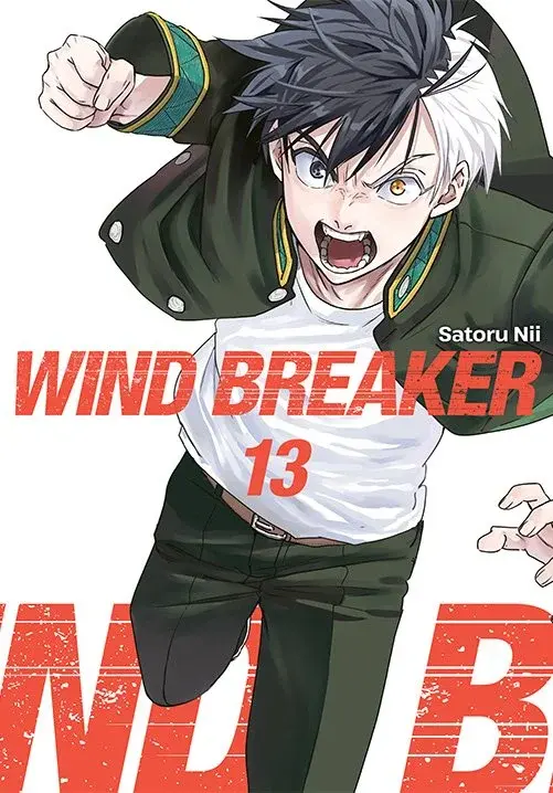 Wind Breaker - 13