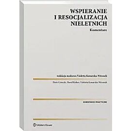Wspieranie i resocjalizacja nieletnich Komentarz