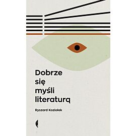 Dobrze się myśli literaturą (e-book)