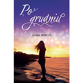 Po grudniu (e-book)