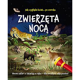 Zwierzęta nocą