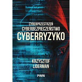 Cyberprzestrzeń, cyberbezpieczeństwo, cyberryzyko