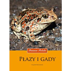 Płazy i gady. Fauna polski wyd. 2023
