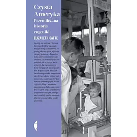 Czysta Ameryka