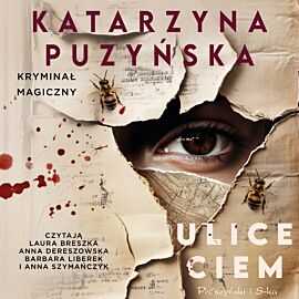 Ulice ciem (audiobook MP3)