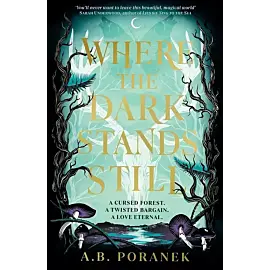 Where the Dark Stands Still
