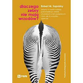 Dlaczego zebry nie mają wrzodów?