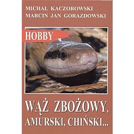 Wąż zbożowy, amurski, chiński...