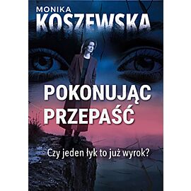 Pokonując przepaść