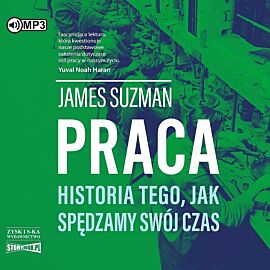 Cd mp3 praca. Historia tego, jak spędzamy swój czas
