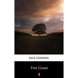 The Game (e-book)