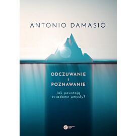 Odczuwanie i poznawanie (e-book)