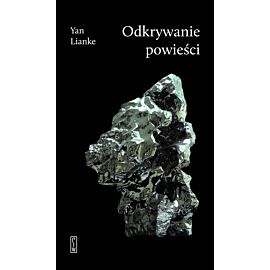 Odkrywanie powieści