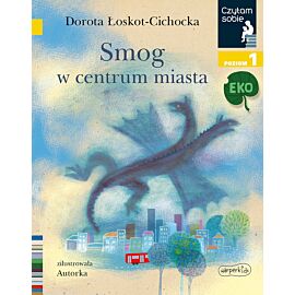 Smog w centrum miasta. Czytam sobie. Poziom 1