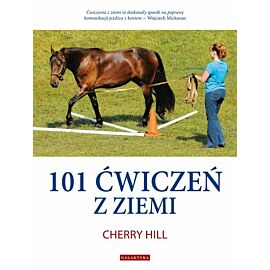 101 ćwiczeń z ziemi