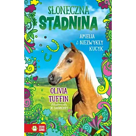 Słoneczna Stadnina. Amelia i niezwykły kucyk