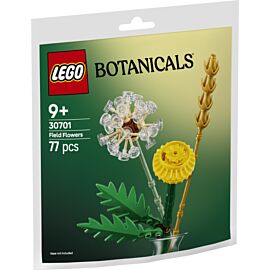 LEGO Botanicals Kwiaty polne 30701