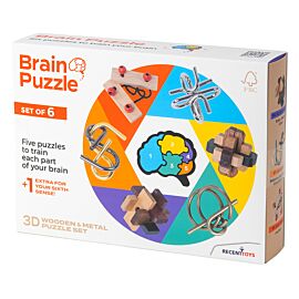 Łamigłówka Brain Puzzle zestaw 6 szt.