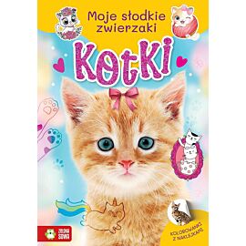 Moje słodkie zwierzaki. Kotki
