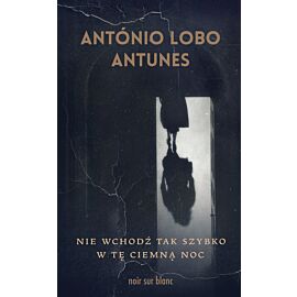 Nie wchodź tak szybko w tę ciemną noc (e-book)