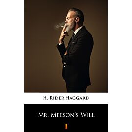 Mr. Meeson’s Will (e-book)