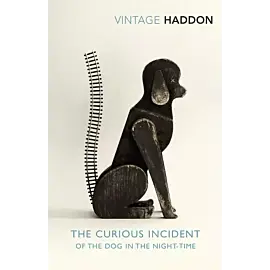 The Curious Incident of the Dog in the Night-time